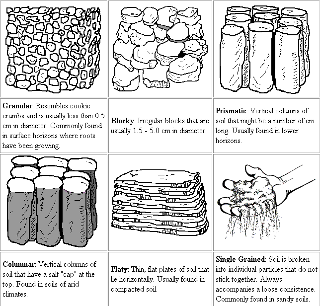 8-difference-between-soil-structure-and-soil-texture-with-pictures