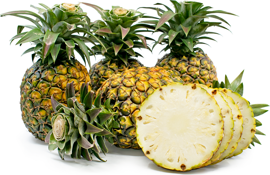 15 Types of Pineapple Varieties And Their Characteristics - AMERICAN ...