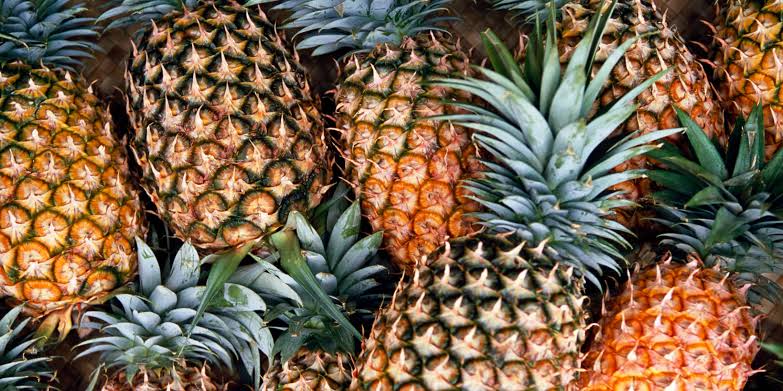 15 Types of Pineapple Varieties And Their Characteristics - AMERICAN ...