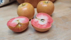 14 Apples that Are Red Inside – (Identification & Pictures) - AMERICAN ...