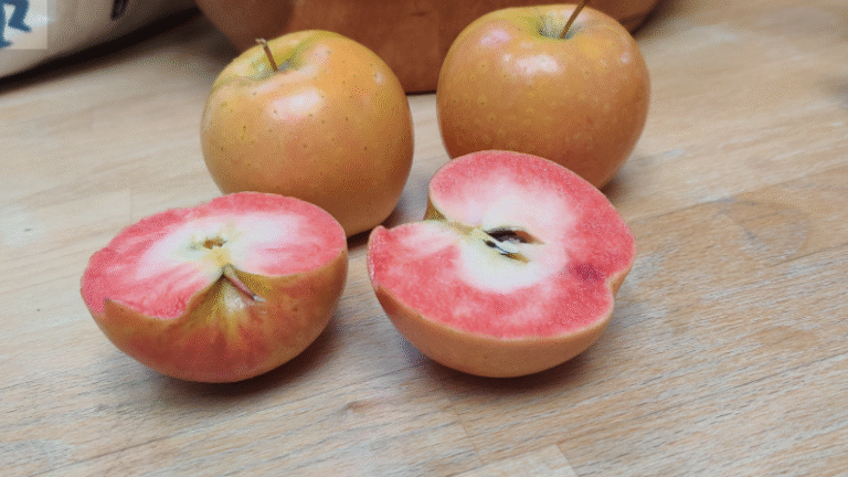 14 Apples that Are Red Inside – (Identification & Pictures) - AMERICAN ...