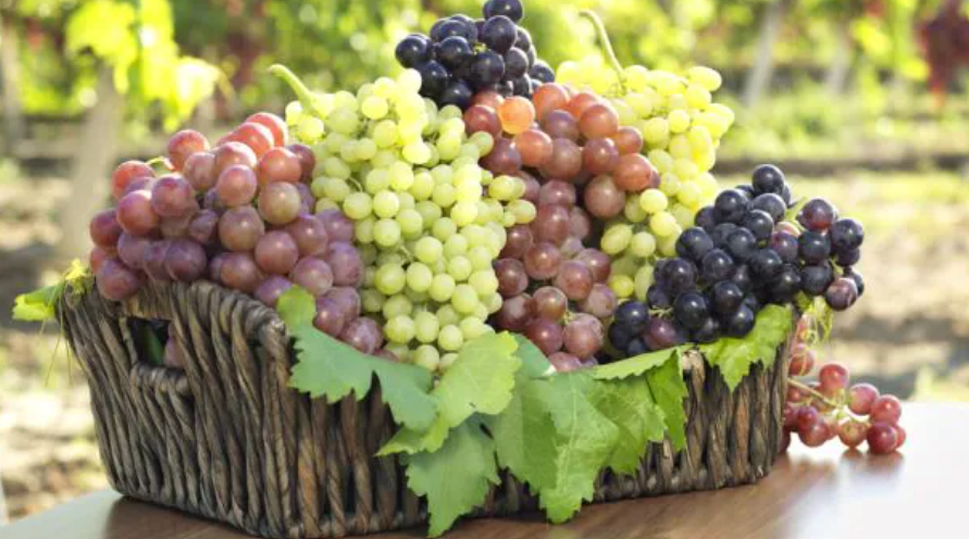  Grape Varieties