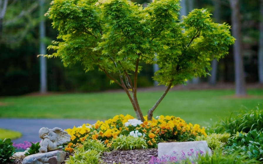 Memorial Tree in a cemetry