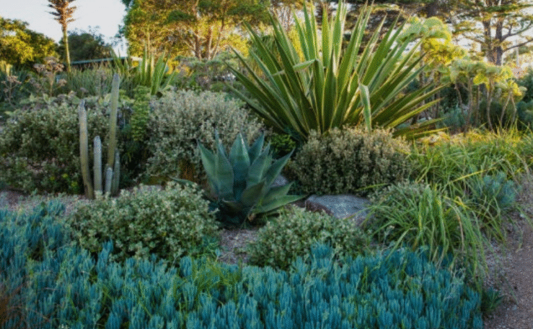 27 Plants Suitable for Coastal Gardens - AMERICAN GARDENER