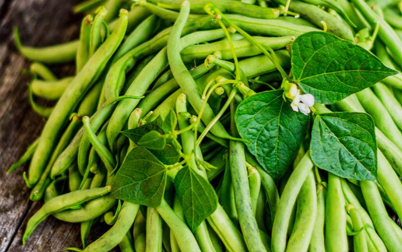Top Crop green beans