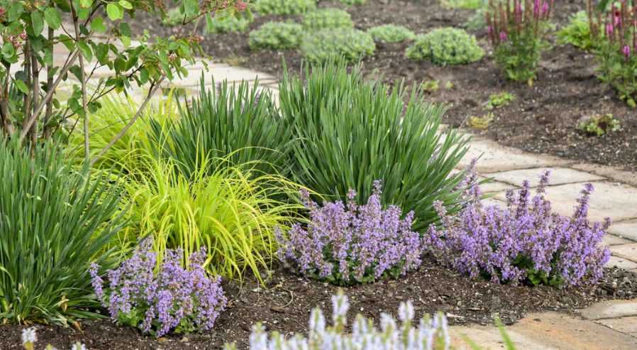 Herbs Garden Zone 7