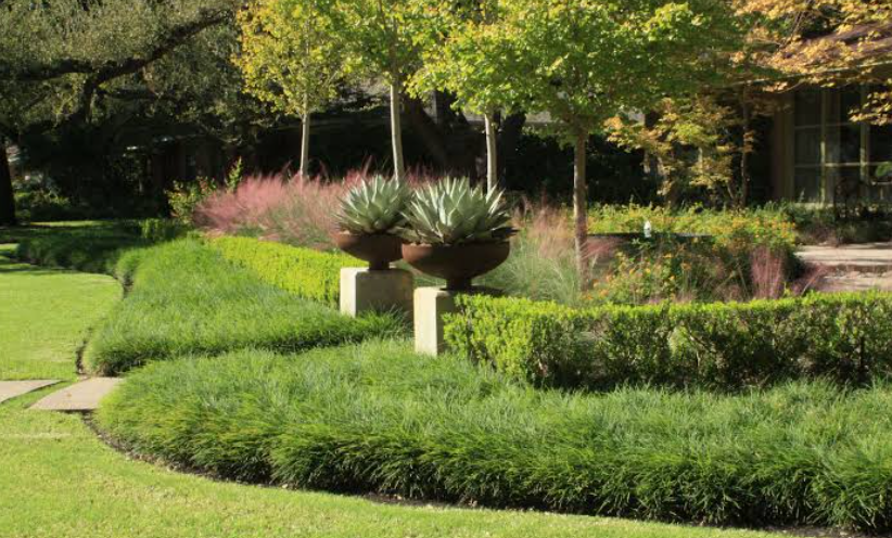Grass For Texas Lawns