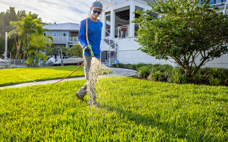 A Lawn In Florida with a beautiful grass
