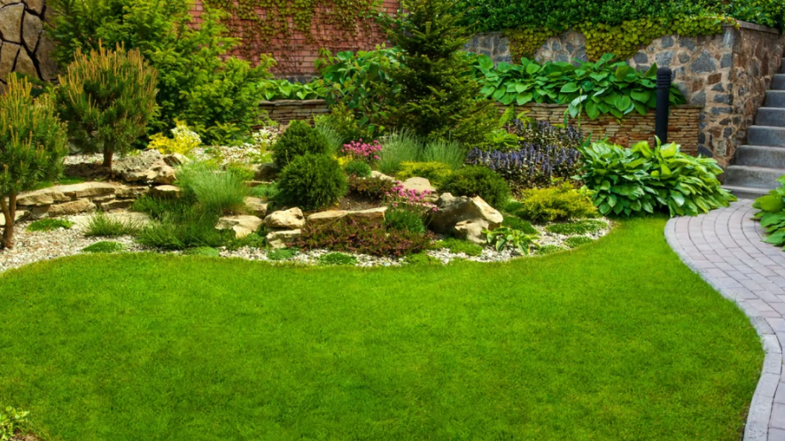 Lawn In Florida Panhandle