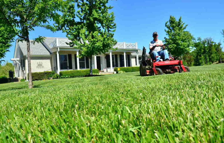 Lawn In Florida Panhandle