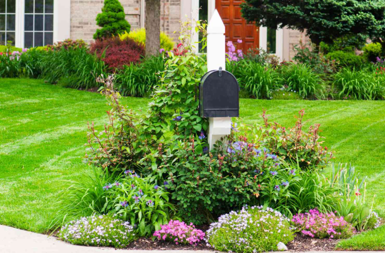 Plants to Grow Around a Mailbox