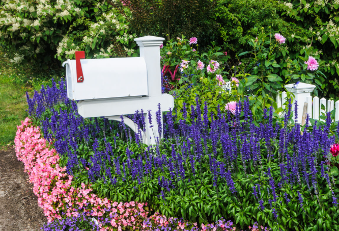 Plants to Grow Around a Mailbox