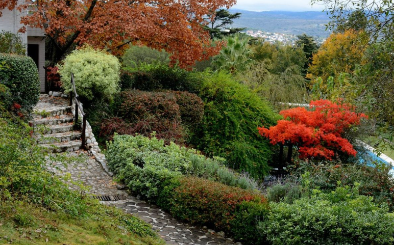 sloping side yard landscaping ideas