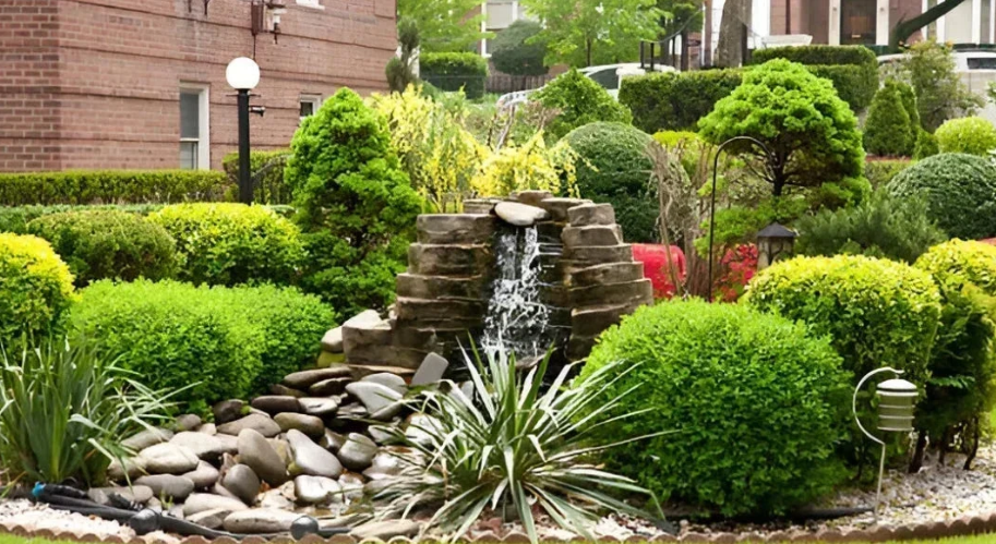 Rock Garden Ideas with Plants 