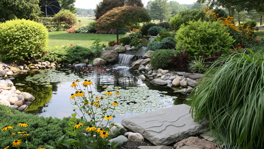 Rain Garden Design in florida