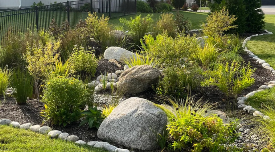 Rain Garden Design in Texas