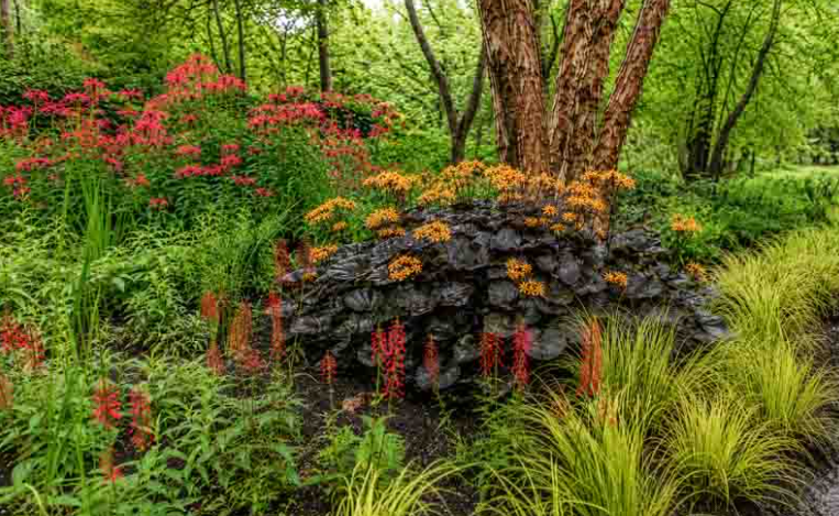 Perennial Flowers for clay soil and poor drainage