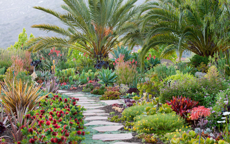 Best Edging Plants for Your Flower Beds
