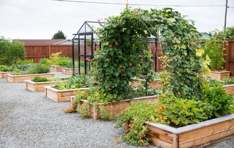 Raised Garden Bed In California