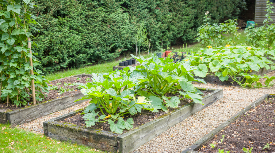 Raised Garden Bed in Ohio