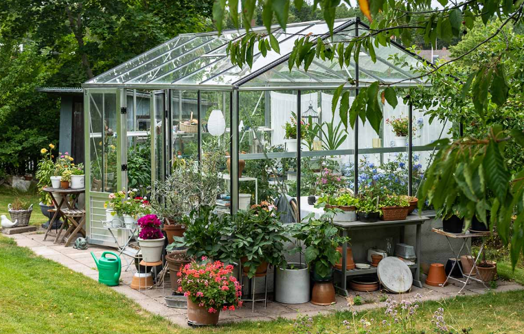 Flowers Growing Inside a Greenhouse In UK