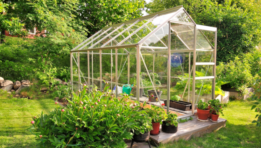 Herbs That Grow Well In a Greenhouse 