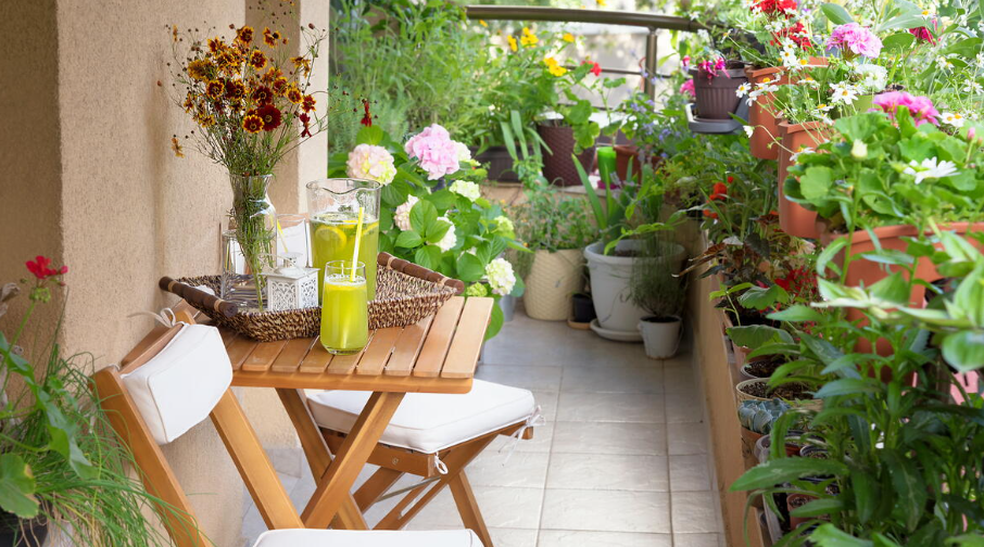 Balcony Gardening of Vegetables
