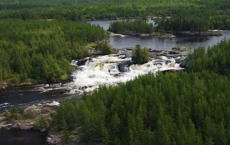 Boreal Forest Biome