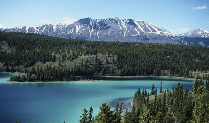 Boreal Forest Biome