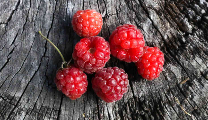Berries Without Seeds 