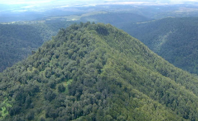 Forest cover In Canada