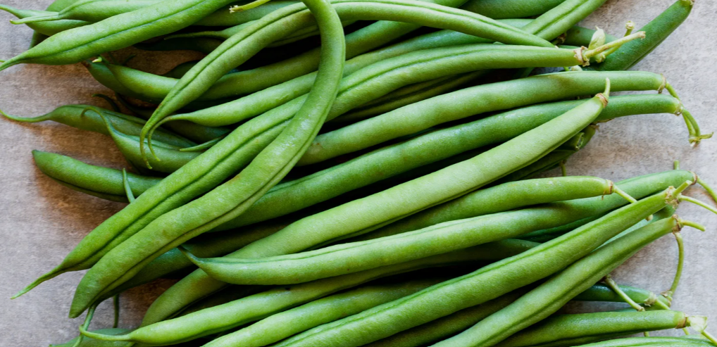Kentucky Wonder Green Beans