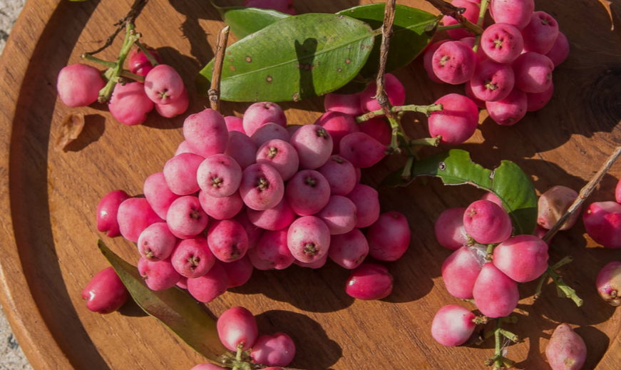 Harvested Naturally Pink Fruits