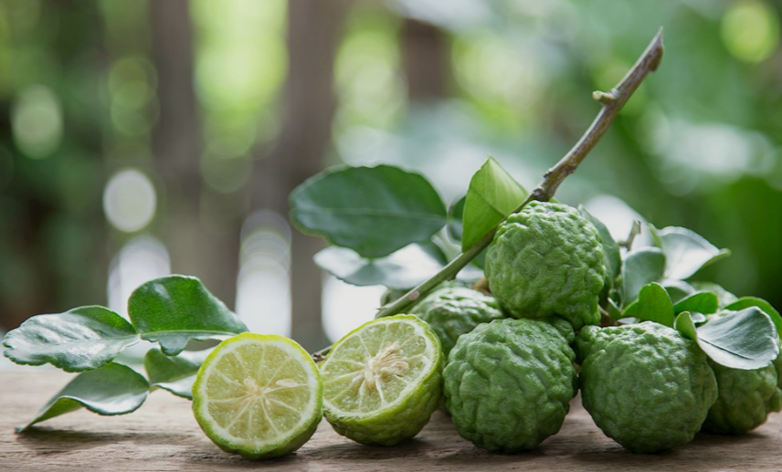 Key lime, the most popular green colored fruit